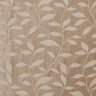 mantua 6007 acacia.jpg